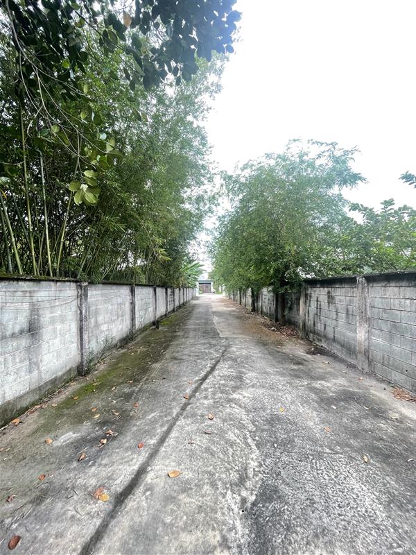 Củ Chi: Bán Gấp 4740m2 Đất Đường  Nhuận Đức, 78x55m, Giá Chỉ 22 Tỷ! Sổ - Ảnh 1